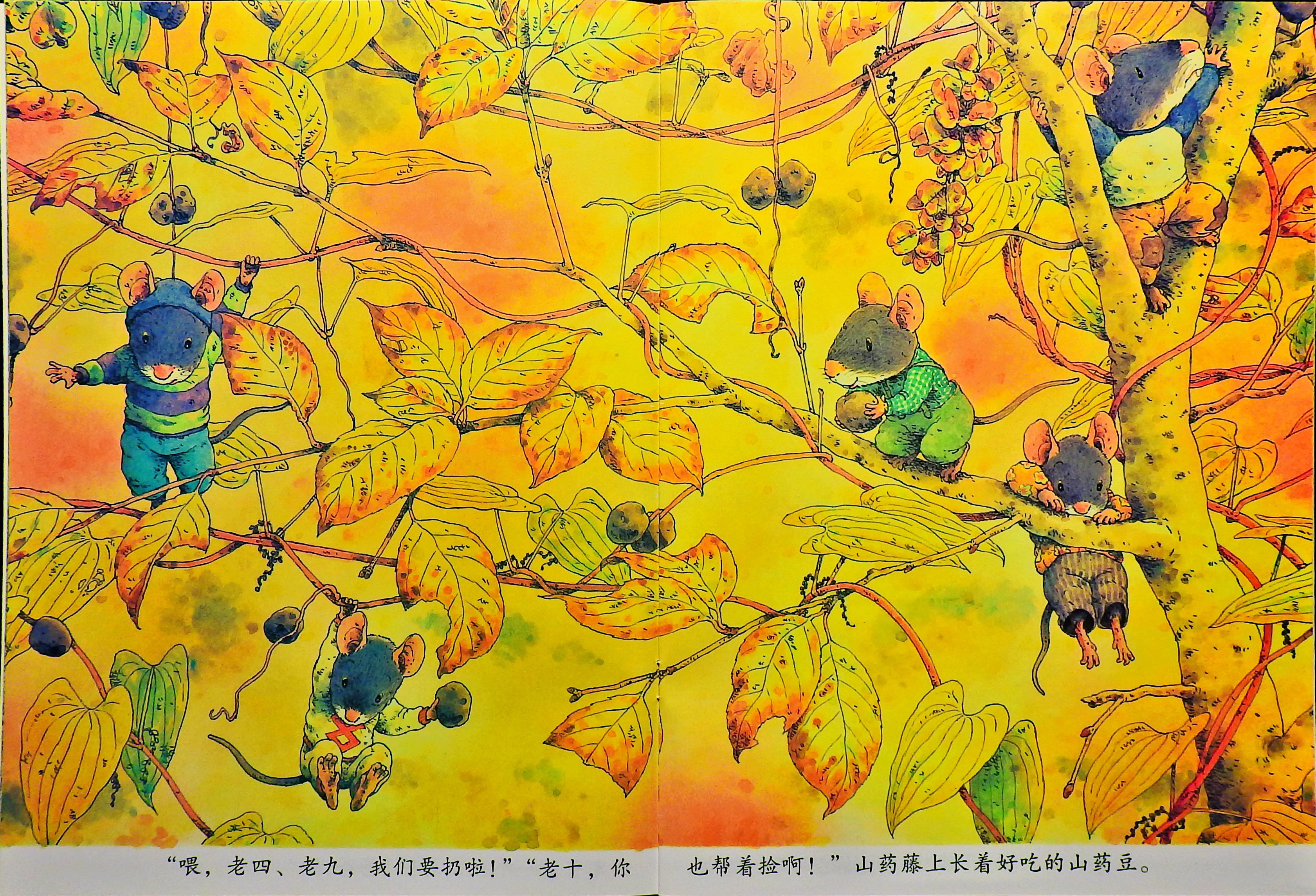 14只老鼠挖山药 (06),绘本,绘本故事,绘本阅读,故事书,童书,图画书,课外阅读